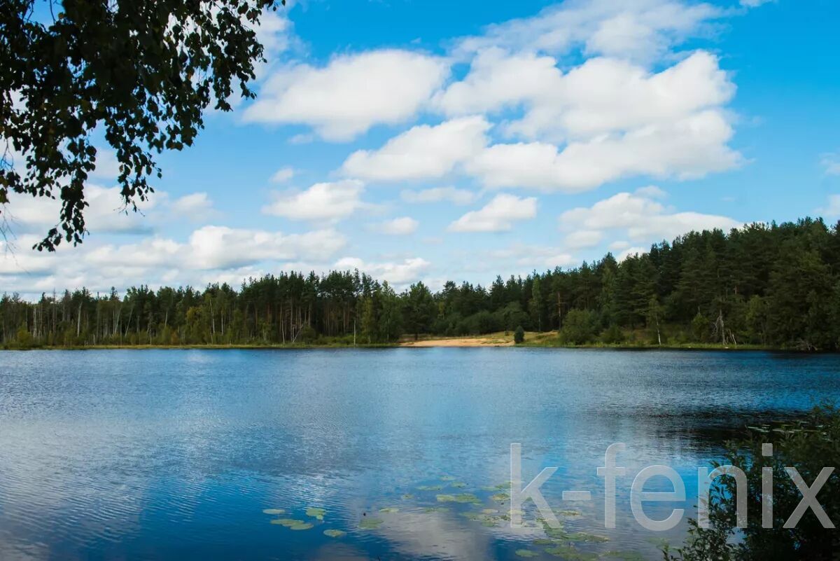 участок 8 сот